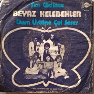BEYAZ KELEBEKLER