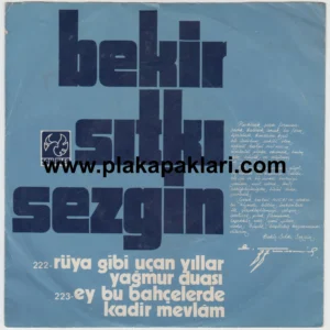 BEKİR SITKI SEZGİN